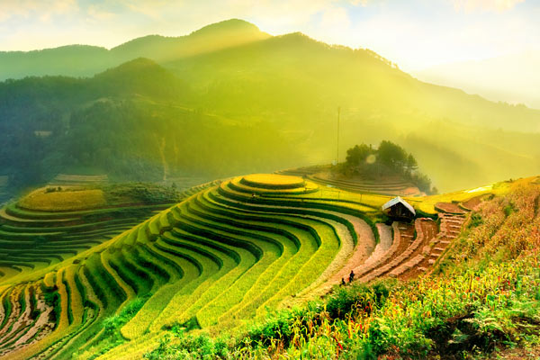 Vietnam